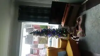 Chrismas decrating