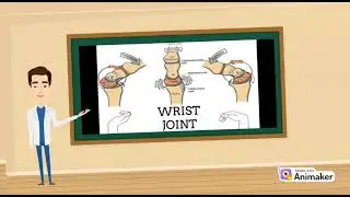 Correct method of Joint Traction; Kaltenborn Treatment Plan; Concave surface of the joint