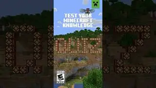 DO YOU KNOW MINECRAFT?
