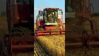 Havesting machine kubota #shorts #shortvideo #farmequipment #farmmachinery #farming #foryou