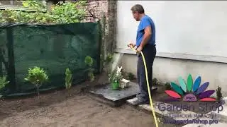 How to plant grass seeds in Australia