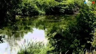 World Wide Views on Biodiversity 2012 - 2 Biodiversity on Land - Nepali