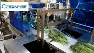 vegetable flowpack machine,vegetable wrapping machine,vegetable packing machine