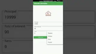 Flutter interest calculator Application