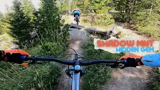 HIDDEN GEM!!!  Shadow Mountain Trail - Tetons National Park