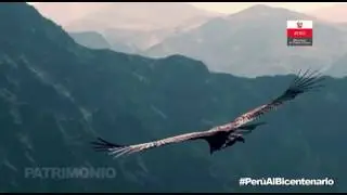PER&Uacute; RUMBO AL BICENTENARIO