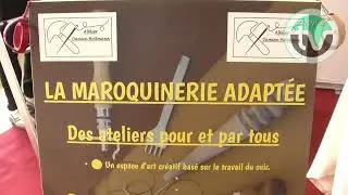 #3 Forum handicaps visibles et invisibles