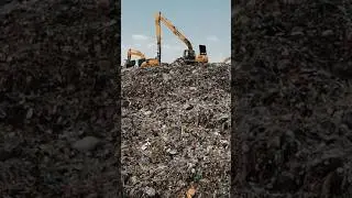 Shocking facts about pollution|| Mindblowing facts about plastic pollution. #science #sciencefacts