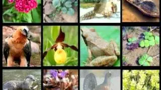 Trailer - Documental Flora y Fauna amenazadas de Arag&oacute;n