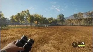 theHunter: Call of the Wild.Magnífico tiro a casi 300 metros, bonito oro de corzo gris oscuro.