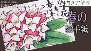 【解説】春の絵手紙『沈丁花』2月・3月・4月　初心者向け簡単でリアルな花の描き方解説　三大香木
