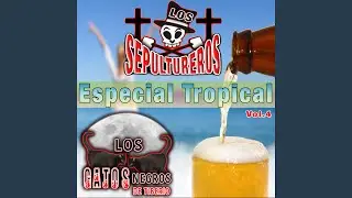Vamos a la Escuela