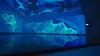 Relaxen mit Epson - in der Soletherme Bad Elster
