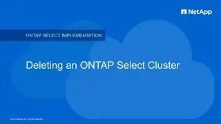 ONTAP Select Cluster Deletion