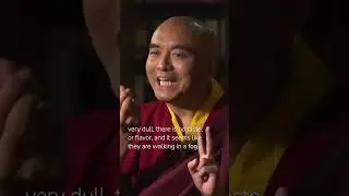 Experience in Meditation with Mingyur Rinpoche