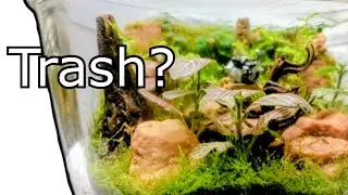 I Turned TRASH Into an Alien Planet Terrarium  | Easy Beginner DIY
