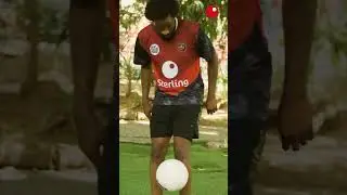Zero Transfer Fees