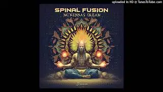 Spinal Fusion - MC'Kennas Dream