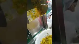 Mango Pulp Processing Line Juice Extractor Machine