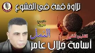 الشيخ اسامة جلال عامر 🎙️ ما تيسر من سورة النمل ✨🎧 تلاوة فى قمة الخشووع