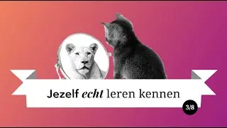 Jezelf ECHT leren kennen // Lekker Lullen met Eva & Lize S02e03