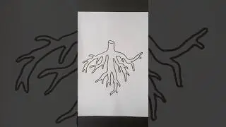 Draw Tree Roots  #roots #easydrawing #howtodraw