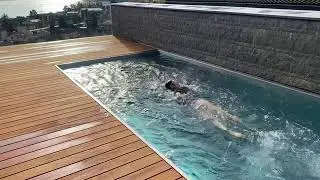 EVA stream pro