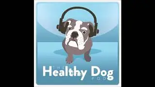 Episode 17: Vet Behaviour Team