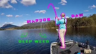 Maroon Dam Bass Fishing (How to fish deep weed)