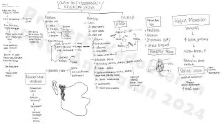 UPDATE 2024: Flipchart FM 2 Kasus 1:  Sistem Cerna Atas - Cavum Oris dan Oesophagus ( GIS )