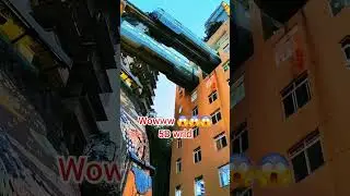 5D world of China