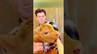 ТЕЛЁНОК ОЧАРОВАЛ ВСЕХ КТО ЕГО ВИДЕЛ😍