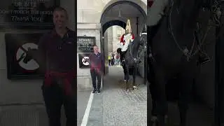 3 Visitors Test the Rules at Horse Guards White Box &ndash; Unexpected Reaction!