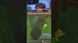 DrDonut dies to an Iron Golem 💀🙏