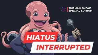 Hiatus Interrupted: The HaM Show Special Edition #indiemusic #indieartists #musicshowcase
