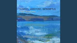 Variations s&eacute;rieuses in D Minor, Op. 54, MWV U156: Var. 17