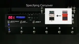 ES-8 Quick Start Chapter 6: Specifying Carryover
