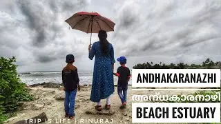 Andhakaranazhi beach | Alappuzha, Kerala