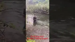 Research Live Larva and Make Nymph Lure