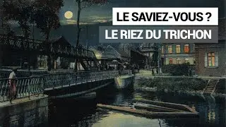 Le saviez-vous ? Episode 1 : le Riez du Trichon 🐟