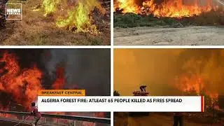 Algeria Forest Fire: At Least 65 People Killed As Fires Spread