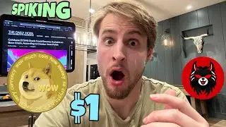DOGECOIN ELON MUSK MASSIVE LEAKED INFO ⚠️ AKUMA INU SPIKE ALERT‼️