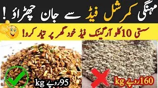 Cheapest Homemade Organic Feed formula!!