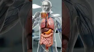 ☕ Tea Digestion Benefits | How Tea Affects Your Stomach & Metabolism
