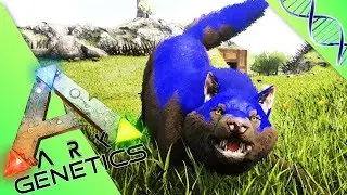 ARK GENETICS : LES MUTANTS ! Loup y es-tu ? Direwolf en folie ! /25