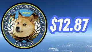 Department Of Government Efficiency (DOGE) 2025 Price Prediction