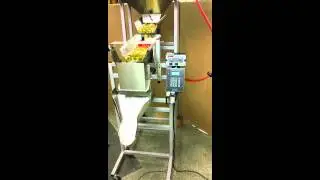 Small Parts Filling Machine. Logical Machines S-6 Cascading Weigh Filler, 50 pcs B-1175-L ferrules