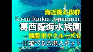 【格安海近眺め抜群！葛西臨海水族園】秋のお出かけに！観覧車や水上バスもそば。一日遊べる穴場スポット！　#葛西臨海水族園　@いんげんtravel【旅・グルメ】Japan food and walk　　#tokyosealifepark