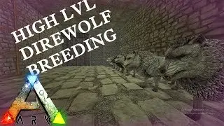 High Lvl Direwolf Breeding & Base Building - Ark: Ragnarok