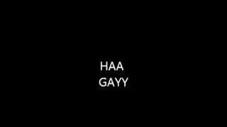 HA GAAAY